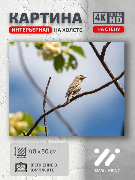 Jz Like Картина на стену Животные птичка ветке весна