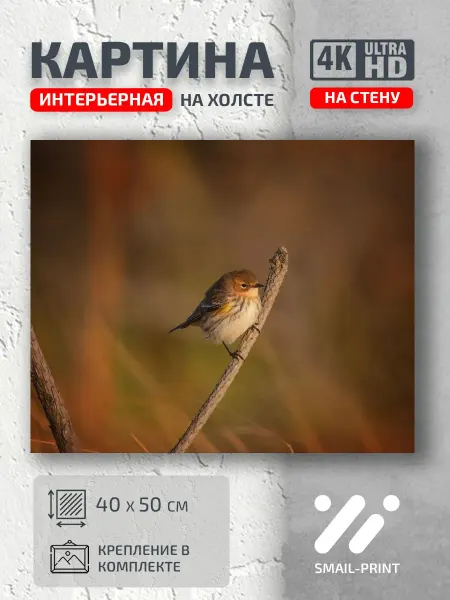 Jz Like Картина на стену Животные птичка ветка природа