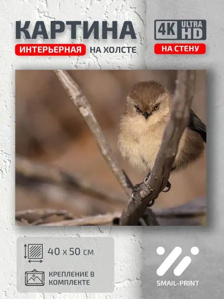 Jz Like Картина на стену Животные птица ветка