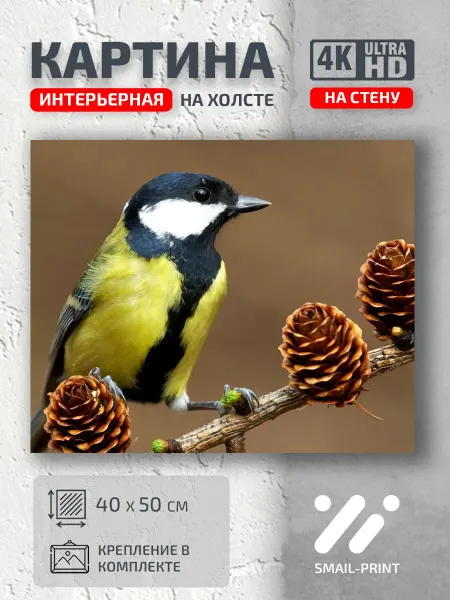 Jz Like Картина на стену Животные Птичка ветке с шишками
