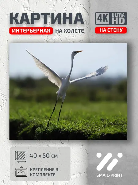 Jz Like Картина на стену Животные взлёт цапля