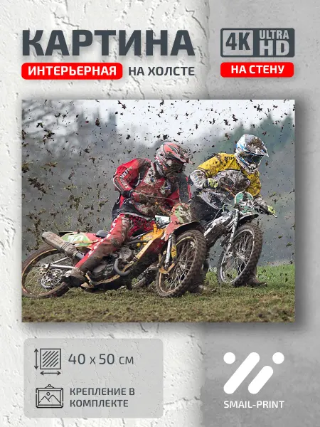 Jz Like Картина на стену Спорт Гонка