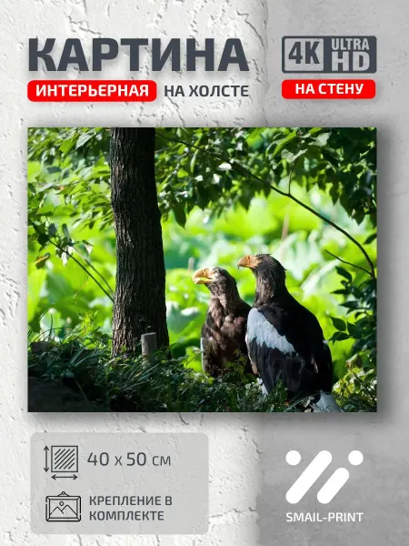 Jz Like Картина на стену Животные птицы дерево природа трава