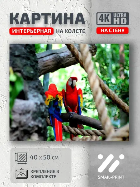 Jz Like Картина на стену Животные природа попугаи деревья