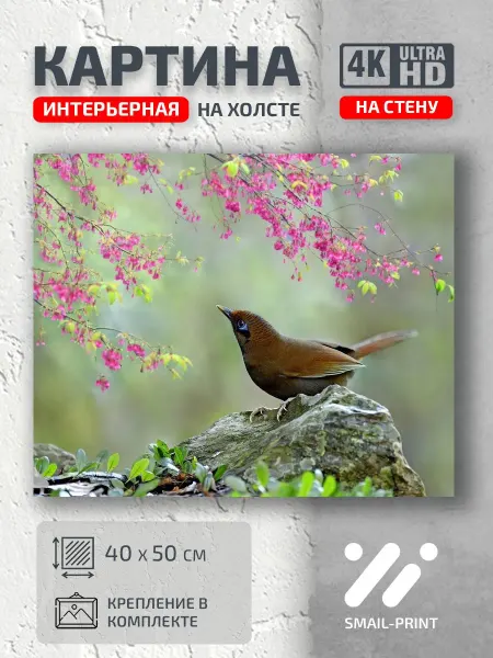 Jz Like Картина на стену Животные природа птитца животное цветы