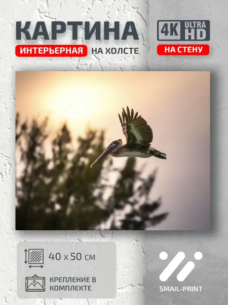 Jz Like Картина на стену Животные птичка закате