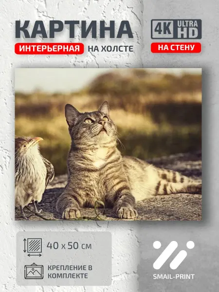 Jz Like Картина на стену Животные кот птичка