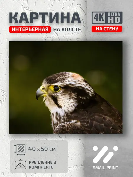 Jz Like Картина на стену Животные Ожидание