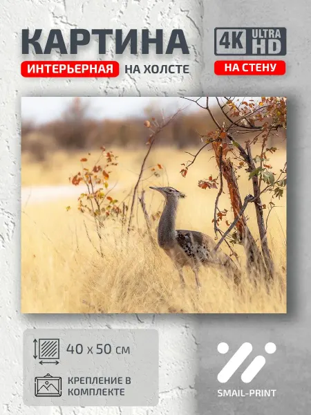 Jz Like Картина на стену Животные птица трава