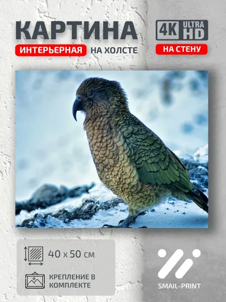 Jz Like Картина на стену Животные птичка снегу