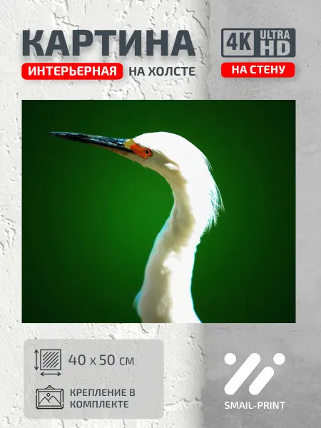 Jz Like Картина на стену Животные Цапля