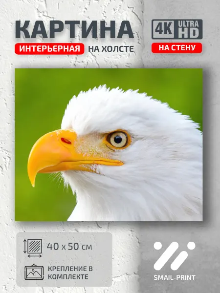 Jz Like Картина на стену Рыбы и Птицы Орел
