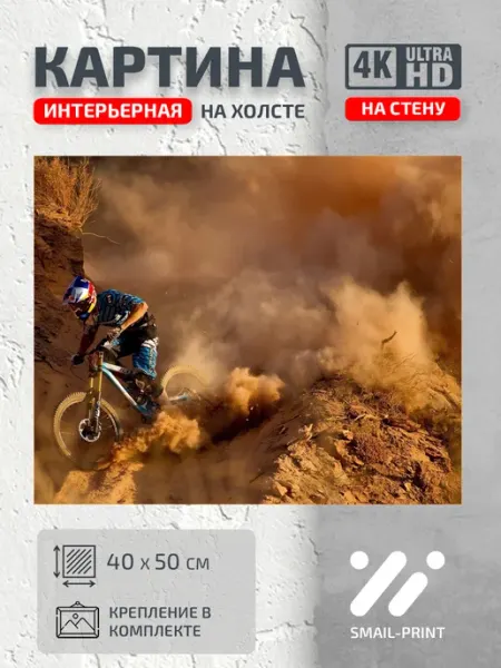 Jz Like Картина на стену Спорт Скоростной спуск