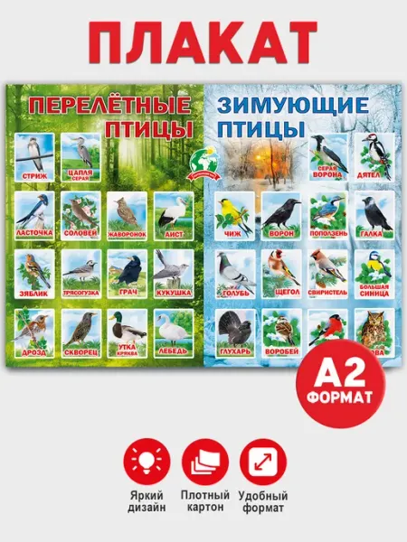 ТМ Мир поздравлений Плакат по окружающему миру Перелётные и зимующие птицы