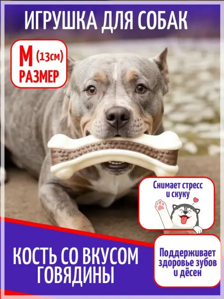 ЗООГЕНИЙ Игрушка лакомство для собак средних пород