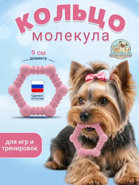 Зооник Кольцо для собак маленьких пород "Молекула"
