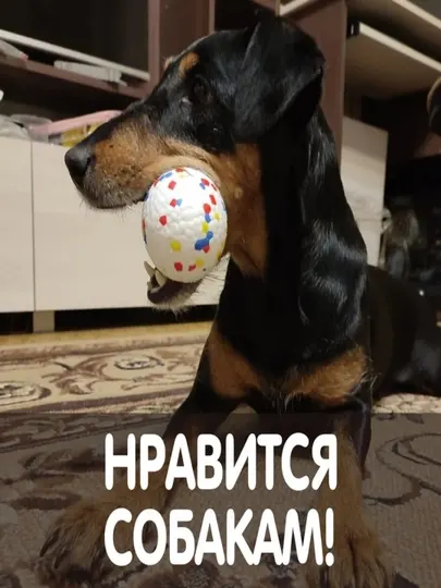 Игрушка для собак, скрежещущая зубами, футбольные принадлежности