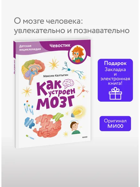Издательство Манн, Иванов и Фербер Как устроен мозг. Детская энциклопедия