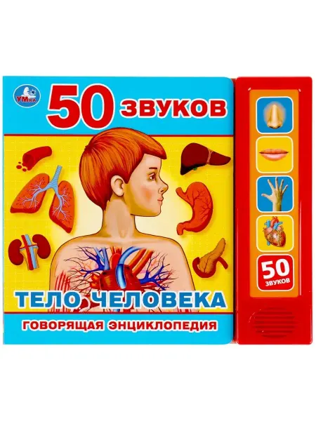 Умка Музыкальная книжка игрушка энциклопедия Тело человека