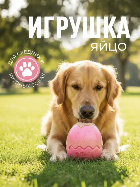 ЛКЛаб Игрушка яйцо для крупных пород собак