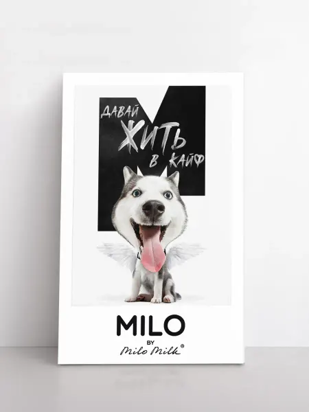 Milo Milk Сувенирный магнит MILOTA - Хаски Давай жить в кайф