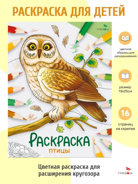 Издательство Стрекоза Птицы. Раскраска. Окружающий мир
