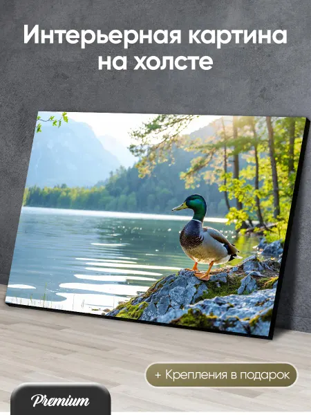 Modulka Картина на холсте Утка на берегу