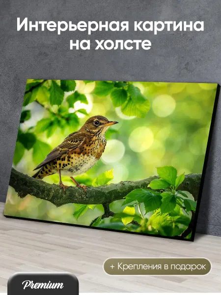 Modulka Картина на холсте Дрозд на ветке