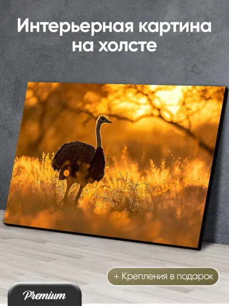 Modulka Картина на холсте Страус в золотой час