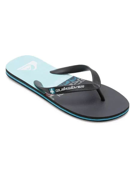 Quiksilver Шлепанцы MOLOKAI STRIPE SNDL XKBK
