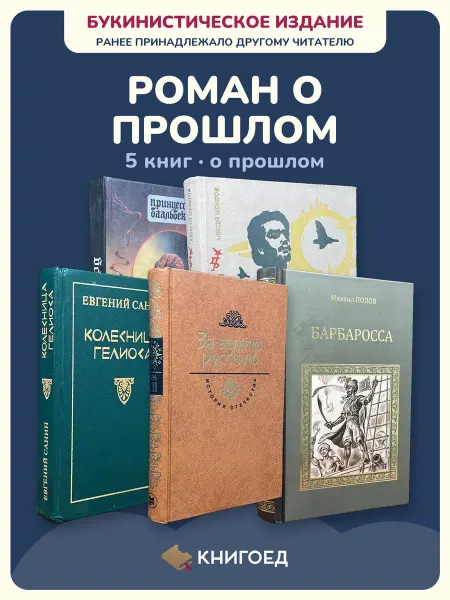 Книгоед исторические романы Хаггард Шеметов Санин Югов Попов