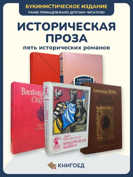 Книгоед Исторические романы Серебрякова Салиас Скотт Фейхтвангер