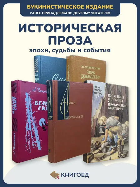 Книгоед Исторические романы Форш Чернышевский Чапыгин Фейхтвангер