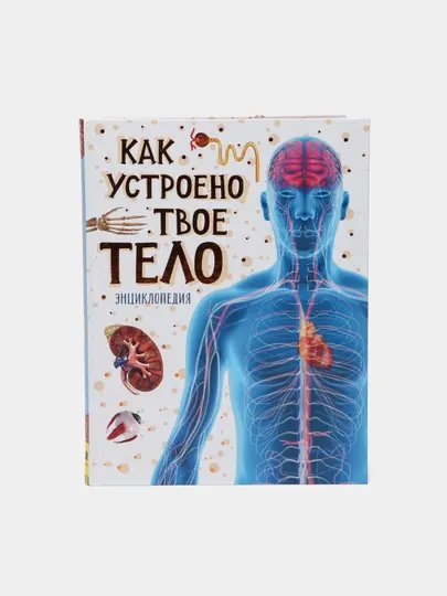 Как устроено твое тело — детская энциклопедия о человеческом организме | Т. Канаван