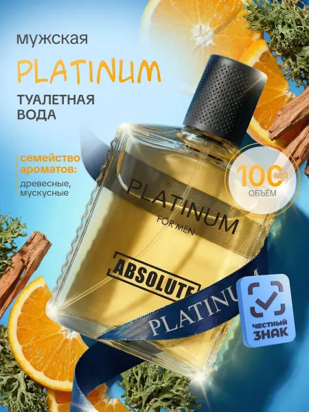 Today parfum Туалетная вода мужская древесная Платинум 100мл