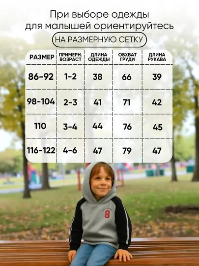 Толстовка худи детское для мальчика, утеплённая, с капюшоном, свитшот