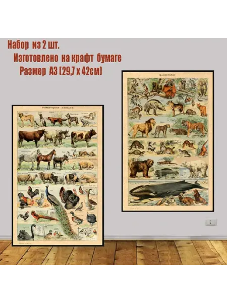 PosterMarkets Набор постеров Млекопитающие и домашние животные