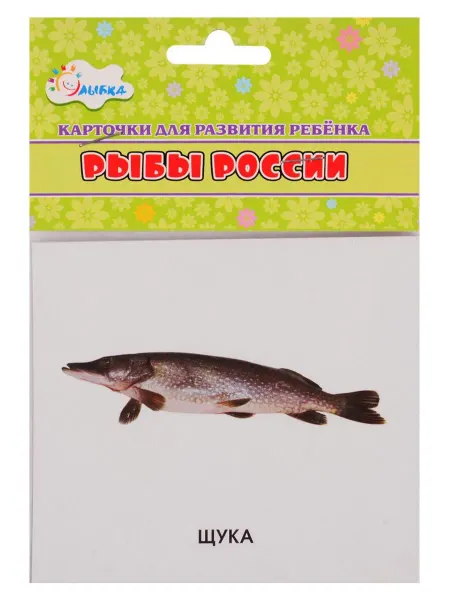 Улыбка Карточки для развития ребенка "Рыбы России"