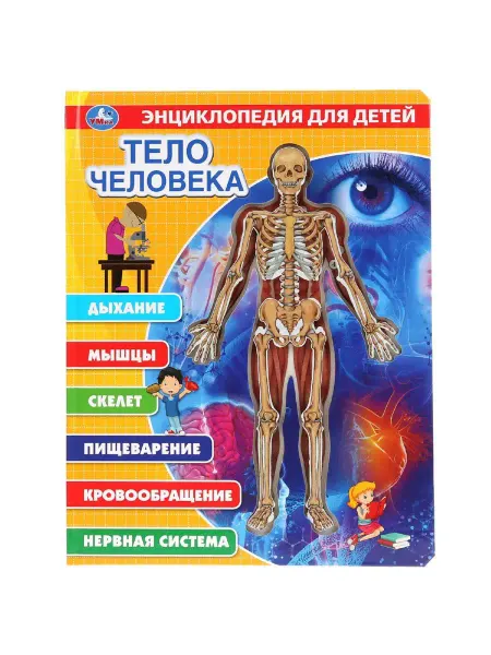 Умка Книга детская энциклопедия Тело человека развивающая