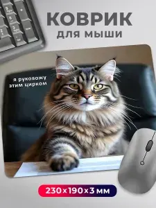Коврик для мышки с приколом мем "Я руковожу этим цирком" с котом