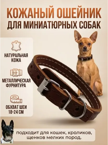 Надежный Малыш Ошейник для собак мелких пород кожаный