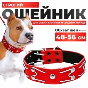 Кожаный ошейник, строгий, красный, с шипами для средних пород собак