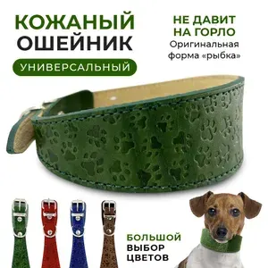 Ошейник для собак мелких пород из натуральной кожи Для прогулки / Обхват шеи 22-28 см