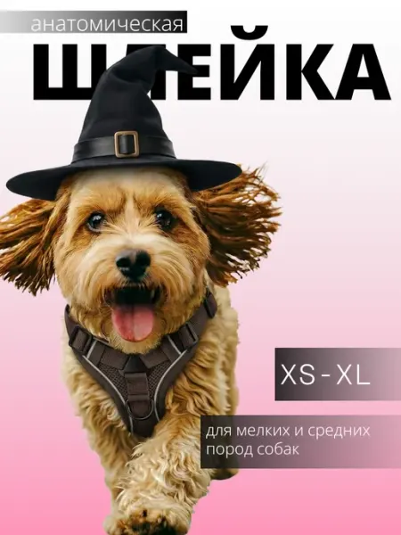 КокоРекс Шлейка для собак мелких средних пород и кошек