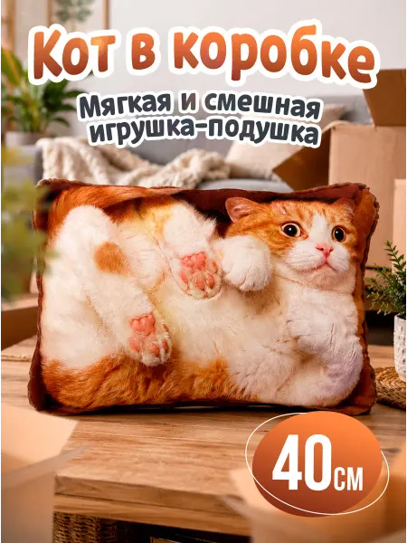 SOFFY Мягкая игрушка смешная Кот в коробке Рыжий