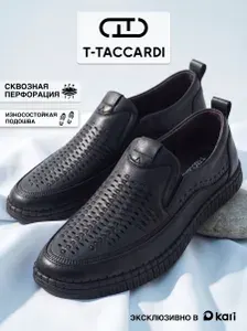 T.TACCARDI Туфли мужские классические с перфорацией