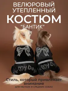 Костюм для собак мелких пород велюровый TDW0308, размер 20
