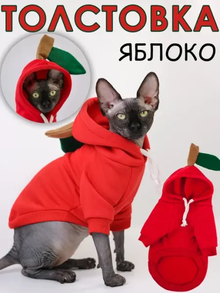 Одень кота Костюм для кошки свитер кофта яблоко