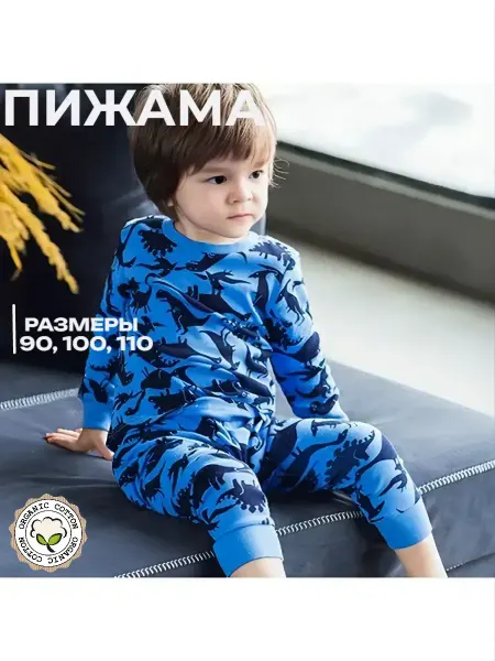 TitAlina Пижама с длинным рукавом для мальчика хлопок синяя детская