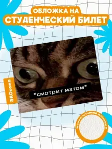 Обложка на студенческий мем кот смотрит матом
